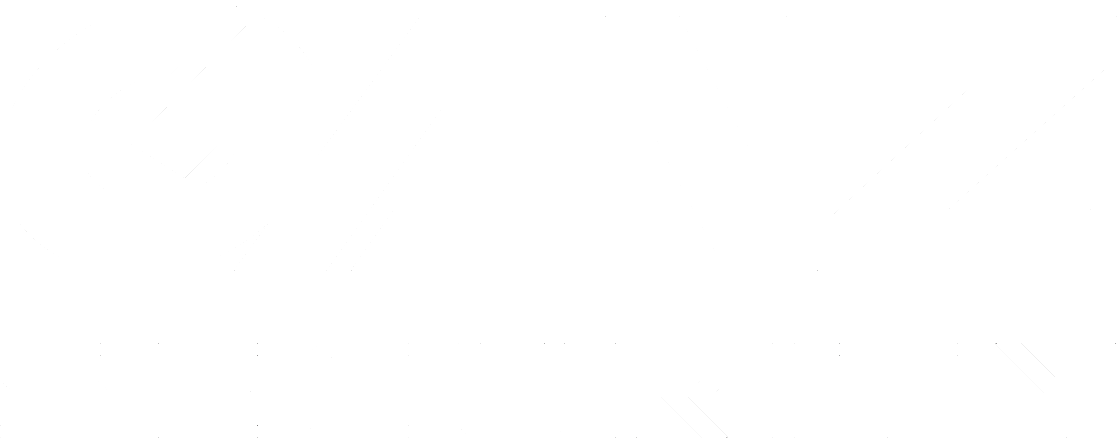 Ganz Security Partner